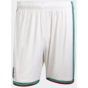 Adidas Algeria 26 Home Shorts