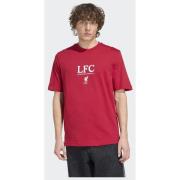 Adidas Liverpool FC Seasonal Graphic Tee