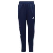 adidas Treningsbukser Condivo 22 - Navy/Hvit Barn