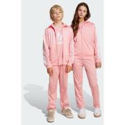 Adidas Originals Adicolor Firebird Pants