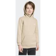 Adidas Originals REGULAR HOODIE FLEECE